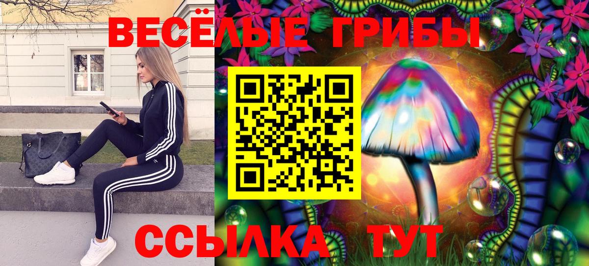 Галлюциногенные грибы GOLDEN TEACHER Кизилюрт