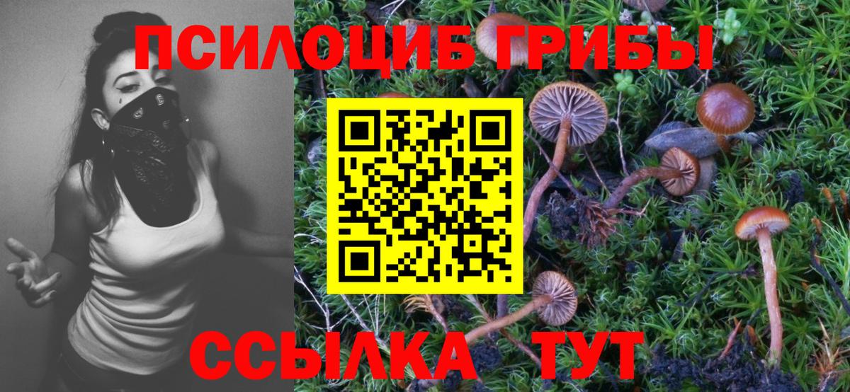 Галлюциногенные грибы мицелий  Вход с VPN  Псилоцибиновые грибы Psilocybine cubensis  Кизилюрт 